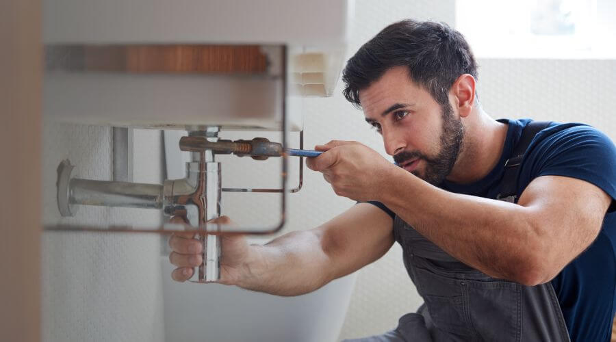 Trap Repair/Replacement in North Augusta, SC